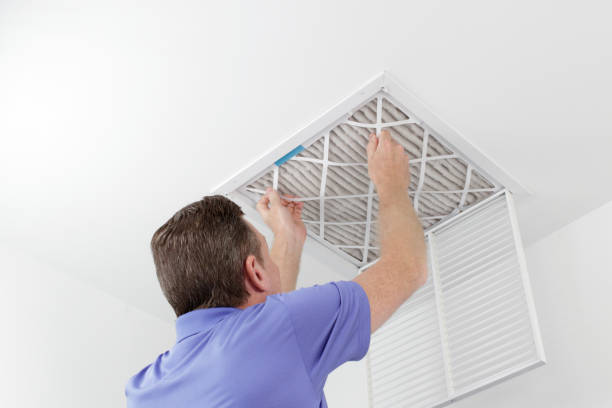 Best Local Air Duct Cleaning Services  in West Van Lear, KY